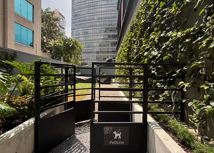 Corazon De By Livix Mexico City